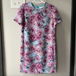 Aritzia Wilfred Patricio dress